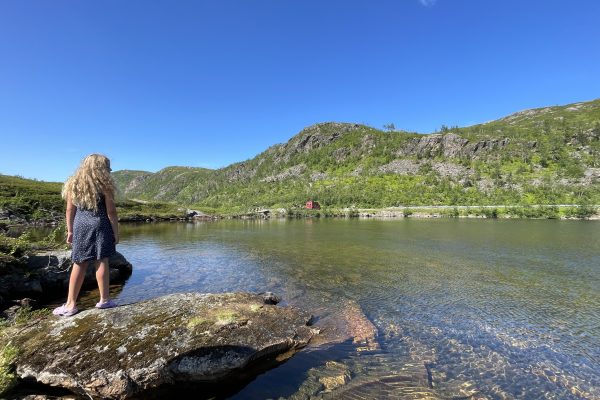 Heart of Stone auf Senja (13)