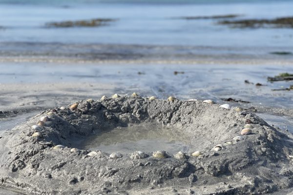 Karibikgefühl pur auf der Insel der Engel (16)