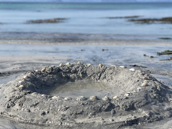 Karibikgefühl pur auf der Insel der Engel (16)