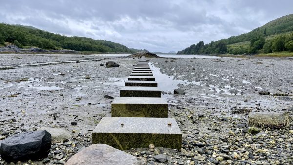 Auf den Fähren nach Süden – Helgelandskysten (26)