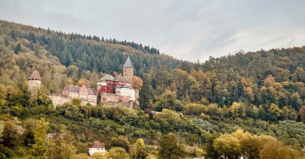 Ein Schäufele im zauberhaften Taubertal