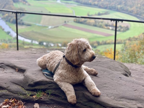 Auf der Teufelskanzel