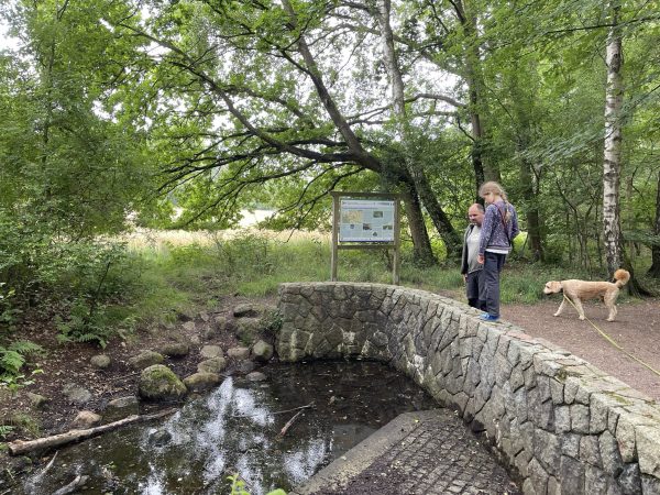 In der Oberalsterniederung