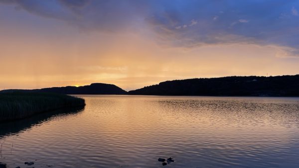 einmal durch das Katzengatter / Teil 2