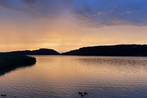 einmal durch das Katzengatter / Teil 2