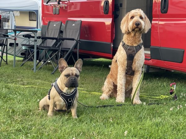 Sonne, Sommer, Sonnenschein in Sunne