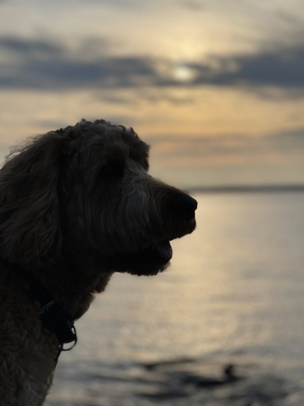 Wir haben den Regenbogebäquator überschritten