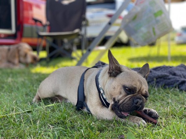 Sommer, Sonne, Sonnenschein in Sunne – Teil 2