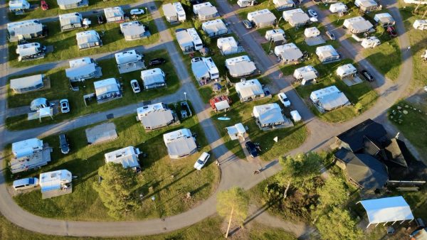 Der Rote unter den Weißen