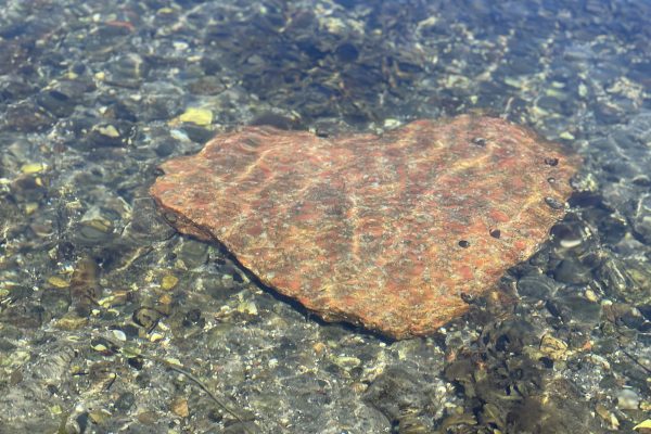 Achtsam frühstücken