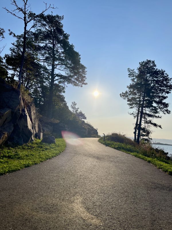 Kommt ein Tortilla geflogen